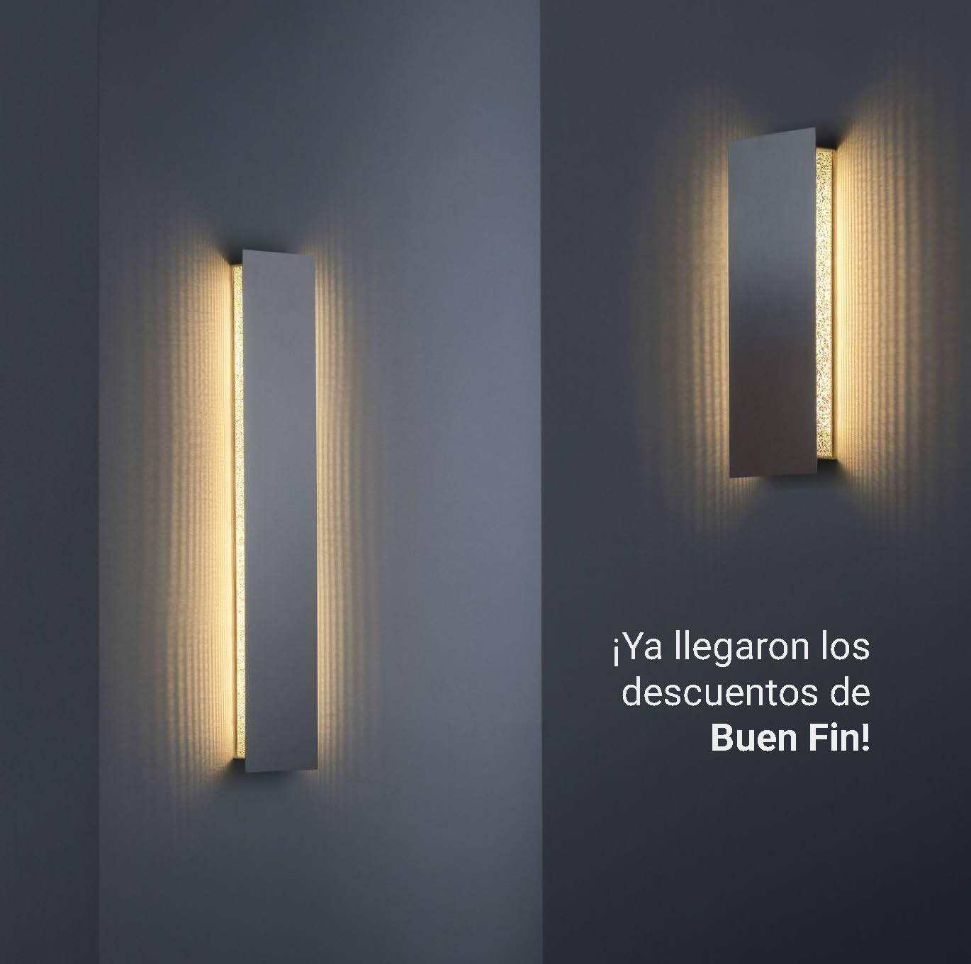 Buen Fin 1_1_Página_6